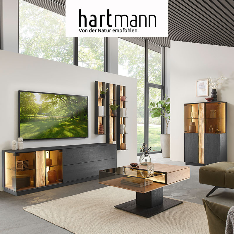 Hartmann KILVA - Massivholzmöbel aus Kernesche anthrazit kombiniert mit hellem Spaltholz. Ambientebild zeigt dunkles Lowboard mit Glastür, darüber hängend drei Metallregale mit edler Spaltholzrückwand, rechts passendes Highboard, davor Couchtisch.