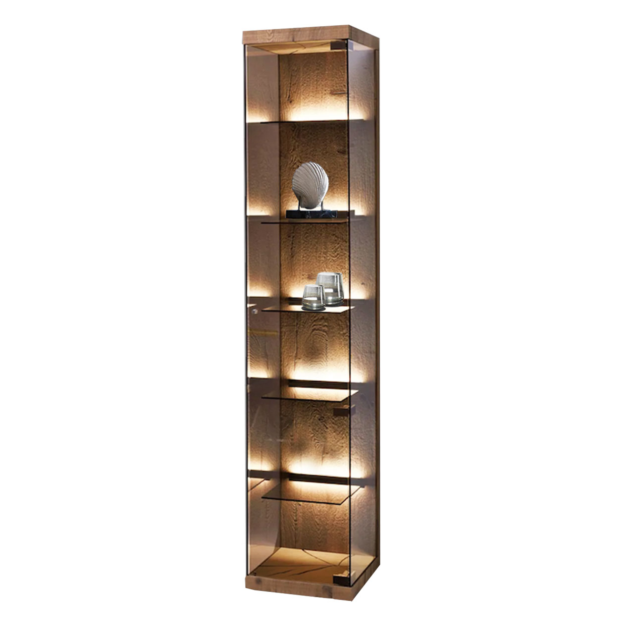 Moderne Hochvitrine aus edlem Glas mit Riffholz Rückwand