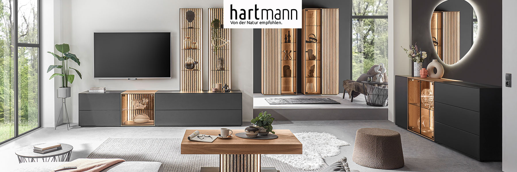 Hartmann Möbel - Möbelserie SELINO - Birke Lack anthrazit Hartmann SELINO - Massivholzmöbel aus Birke anthrazit kombiniert mit Kerneiche Natur und hellen Holzlamellen. Ambientebild zeigt dunkles Lowboard mit Glastür, darüber zwei Wandregale mit Glasböden und Lamellenrückwand, rechts passendes Highboard.