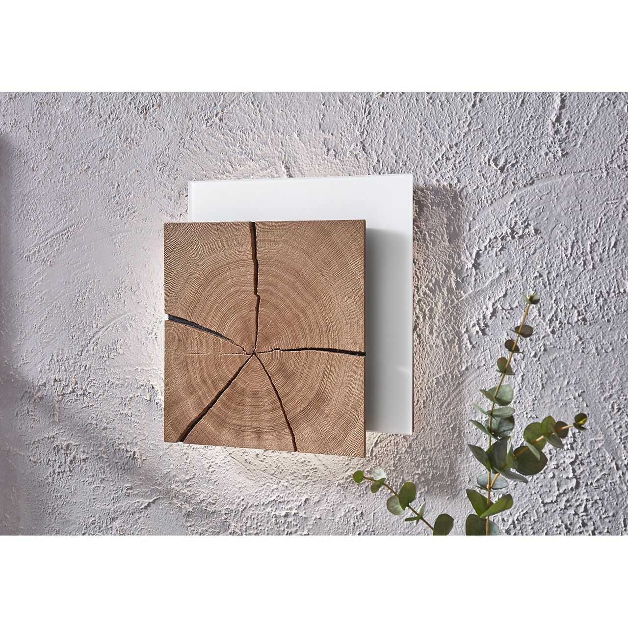Moderne, quadratische Wandleuchte mit Hirnholzscheibe in heller Kerneiche auf Mattglas weißer Platte - an grauer Wand hängend. 