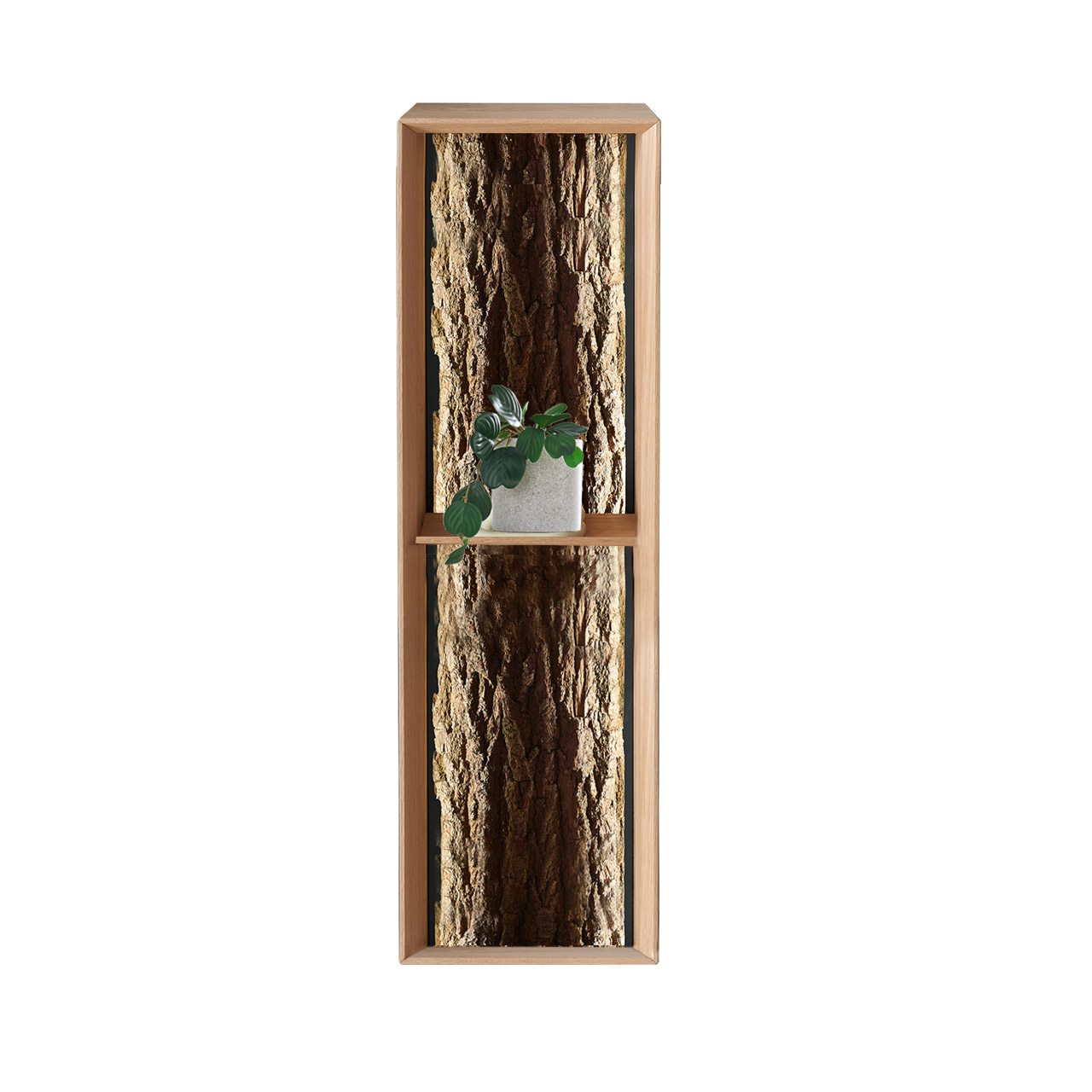 Hartmann SALVO Garderoben - Regalelement 8550G-5034 - mit Baumrinde Modernes Regal aus massiver Kerneiche Natur mit Ablageboden und sichtbarer Rückwand mit echter Baumrinde.