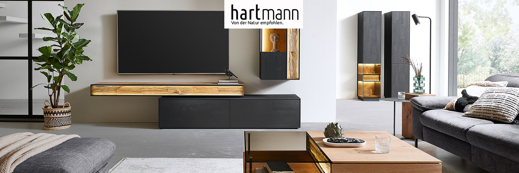 Hartmann Möbel - Möbelserie KILVA - Kernesche anthrazit Hartmann KILVA - Massivholzmöbel aus Kernesche anthrazit kombiniert mit hellem Spaltholz. Ambientebild zeigt dunkles Hängelowboard, darüber TV Brücke mit Spaltholzfront, rechts passende Hängevitrine. Hinten rechts eine Standvitrine und Hochschrank.