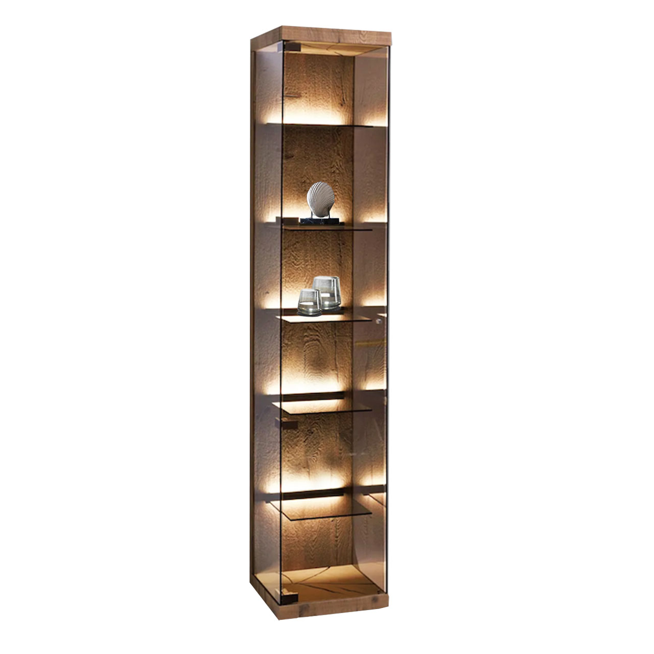 Moderne Hochvitrine aus edlem Glas mit Riffholz Rückwand